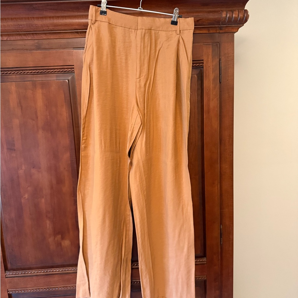 Zara Tan Pants